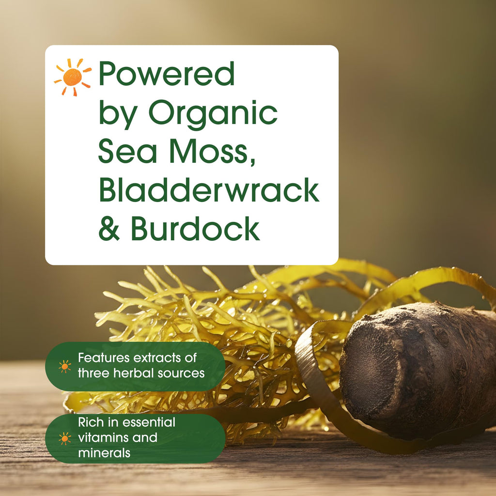 NatureBell 3-in-1 Sea Moss - 240 Vegetarian Capsules - Sea Moss Complex with Organic Bladderwrack & Organic Burdock Root - Healthy Digestion, Vitality & Immune Support*