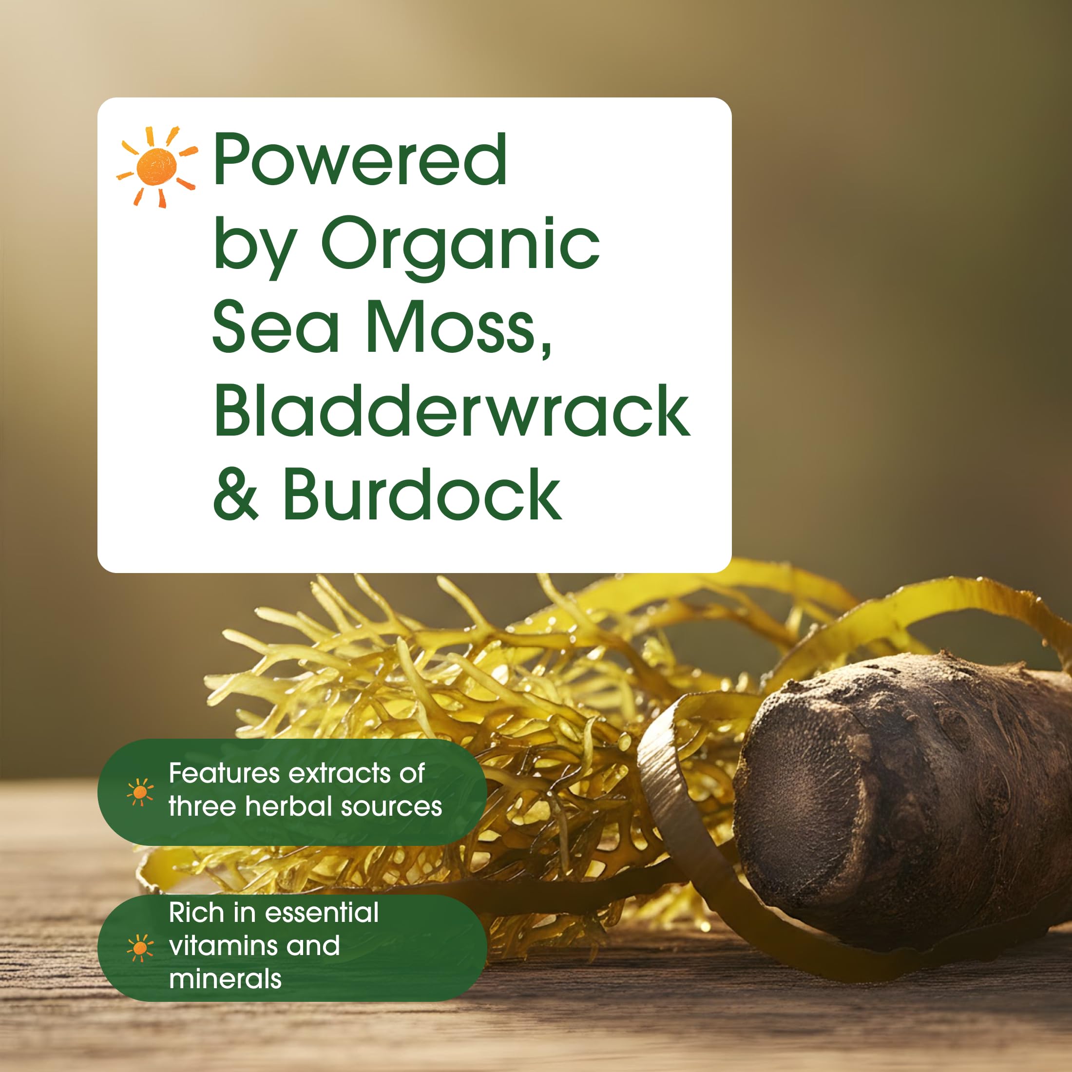 NatureBell 3-in-1 Sea Moss - 240 Vegetarian Capsules - Sea Moss Complex with Organic Bladderwrack & Organic Burdock Root - Healthy Digestion, Vitality & Immune Support*