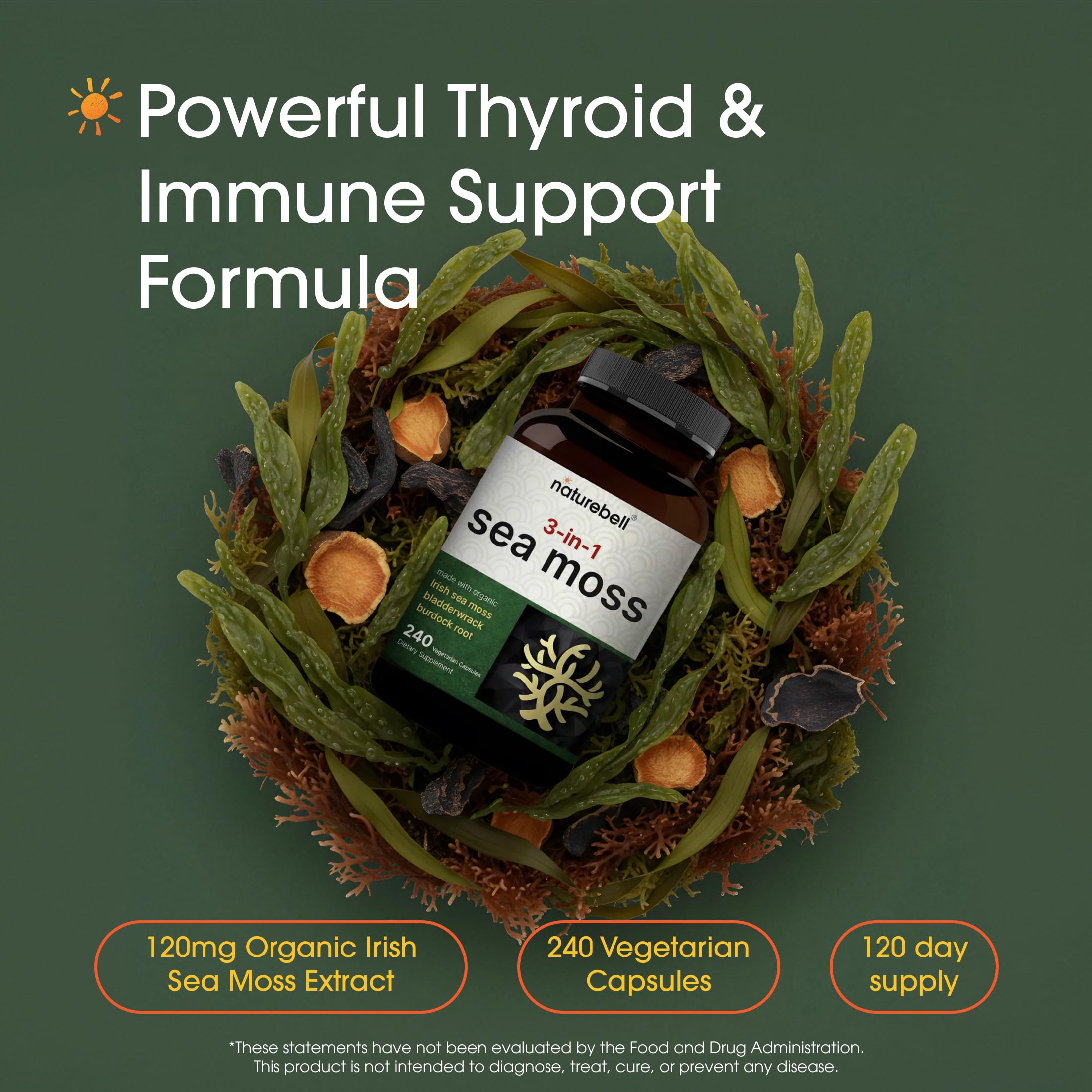 NatureBell 3-in-1 Sea Moss - 240 Vegetarian Capsules - Sea Moss Complex with Organic Bladderwrack & Organic Burdock Root - Healthy Digestion, Vitality & Immune Support*